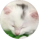 糸井隆隼 profile picture