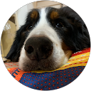 Sachi profile picture