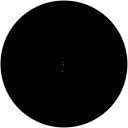 はくまい profile picture